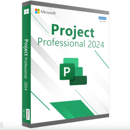Project 2024 Professional Bind product Key