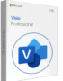 Visio 2024 Professional